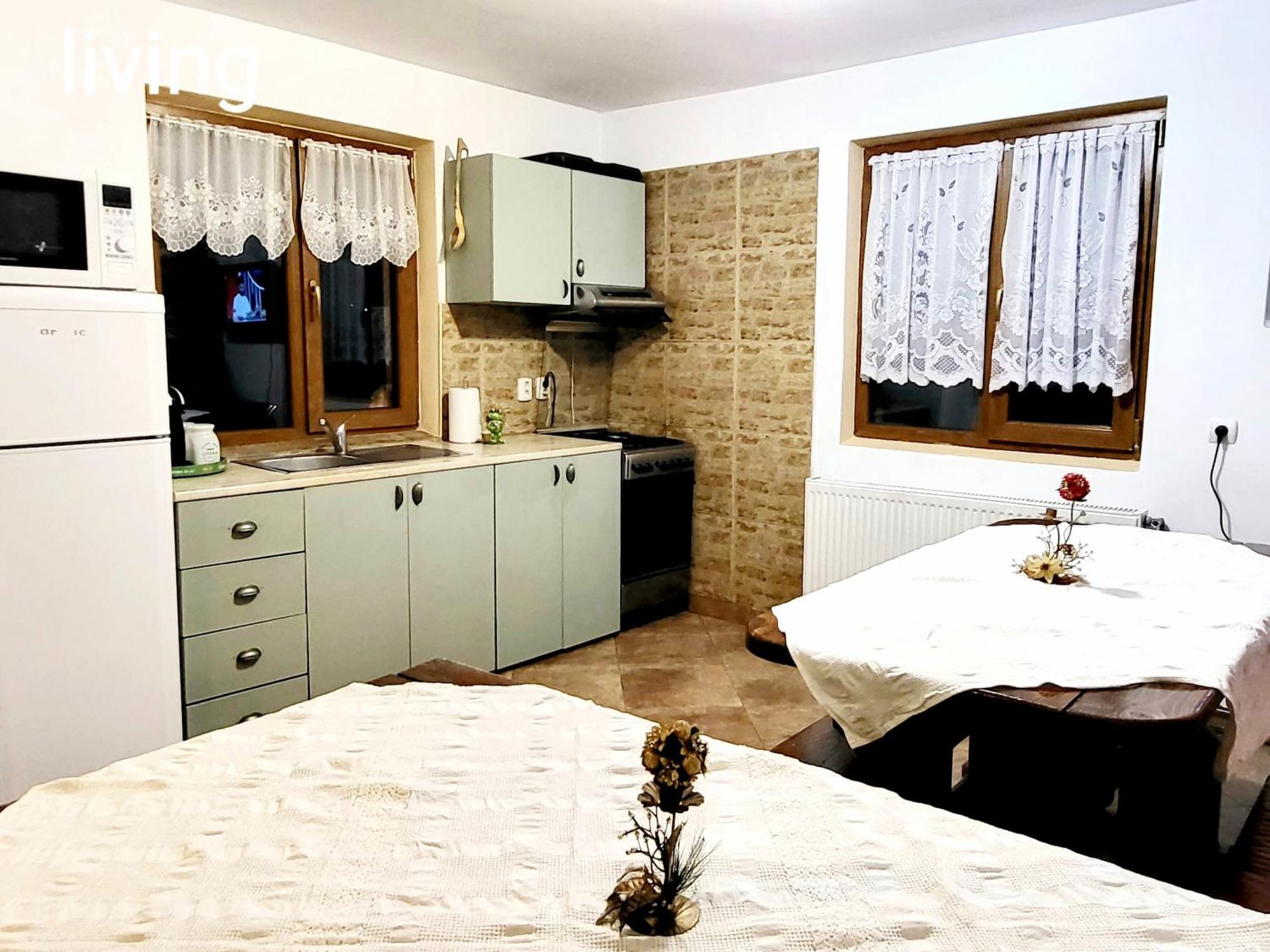 Vila Dariana Vatra Dornei Exteriér fotografie
