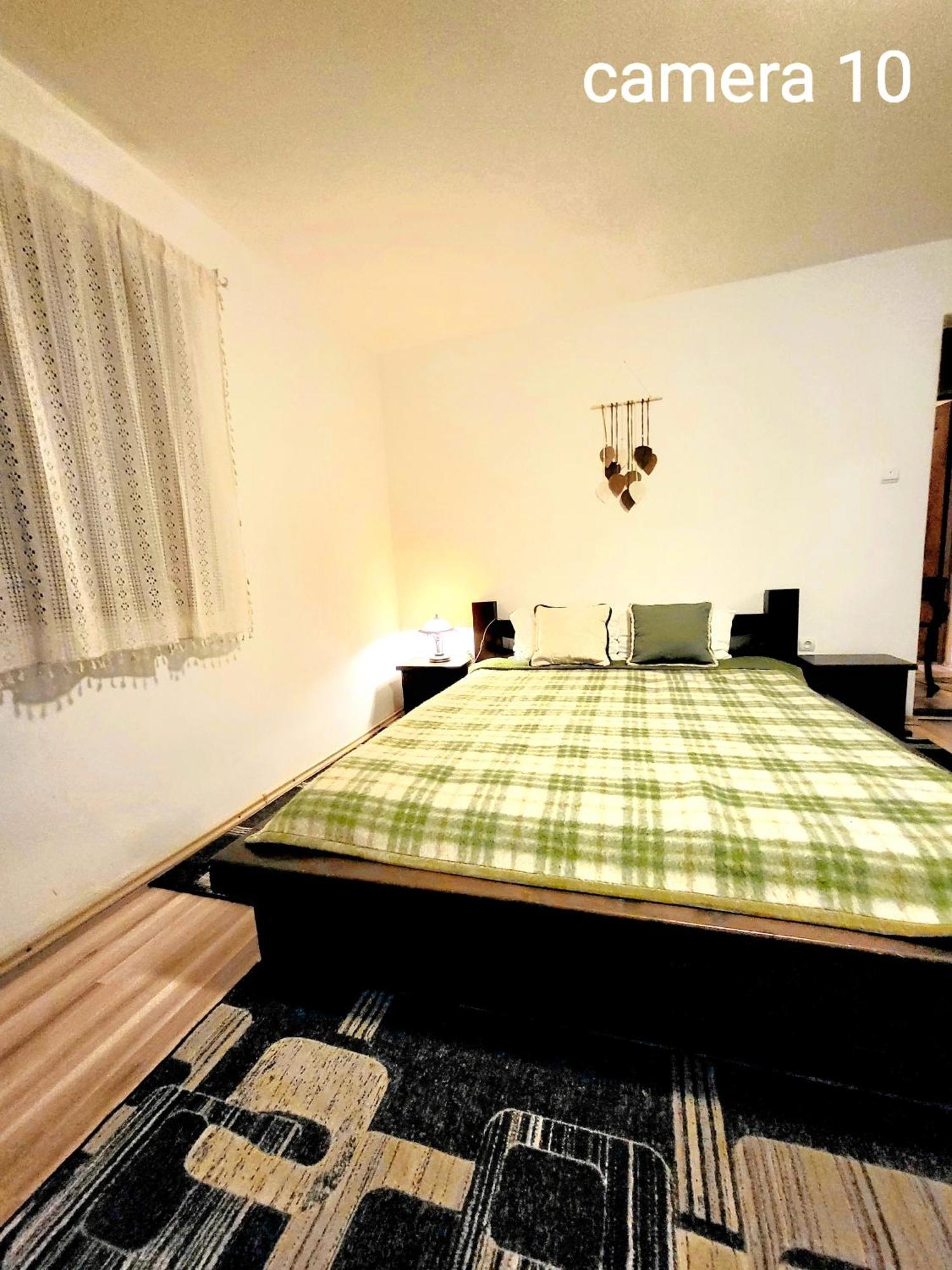 Vila Dariana Vatra Dornei Exteriér fotografie
