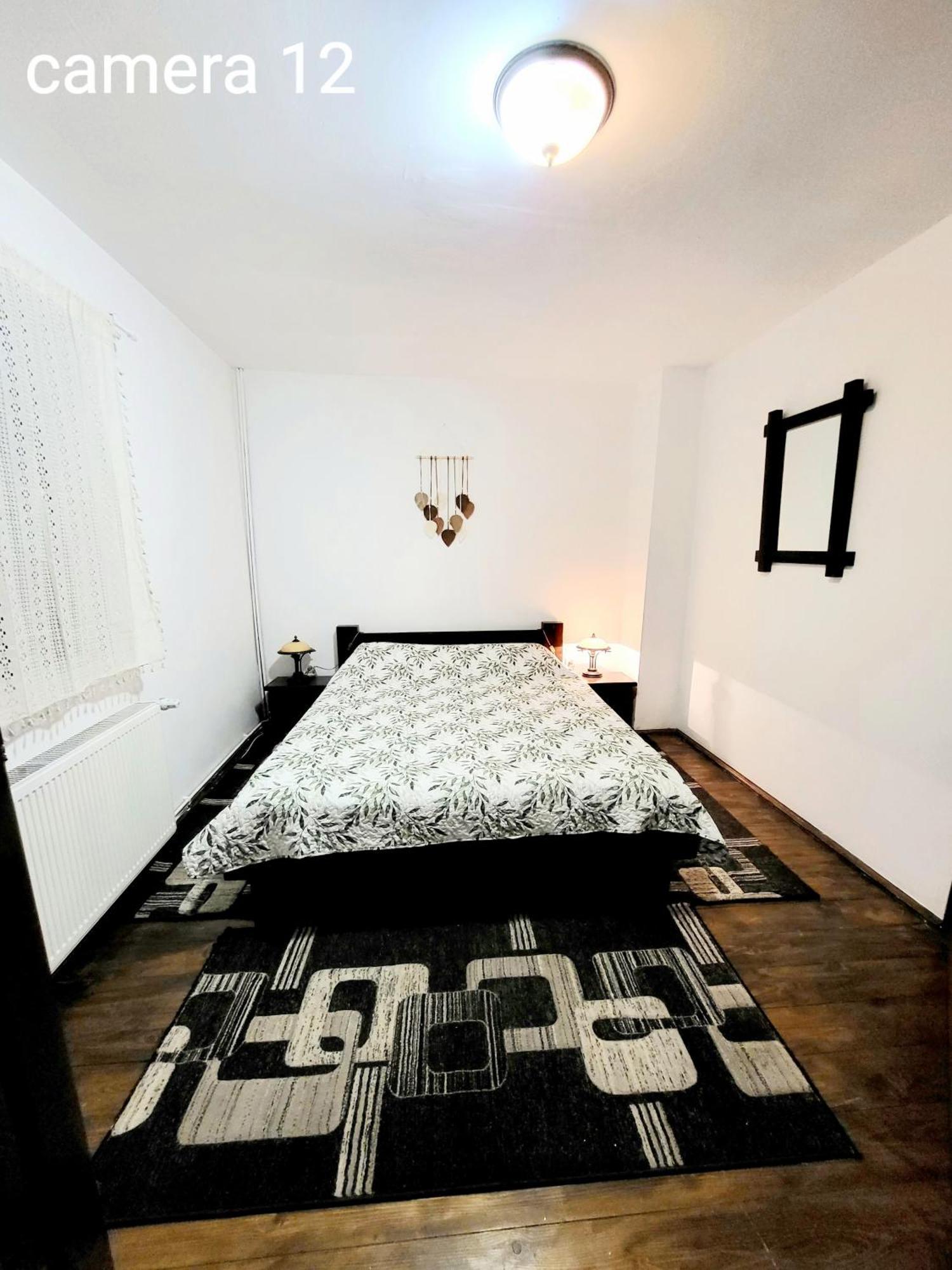 Vila Dariana Vatra Dornei Exteriér fotografie