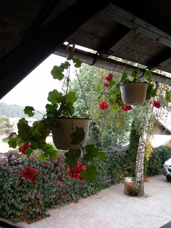 Vila Dariana Vatra Dornei Exteriér fotografie