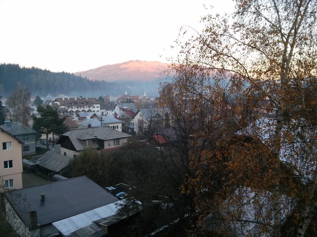 Vila Dariana Vatra Dornei Exteriér fotografie