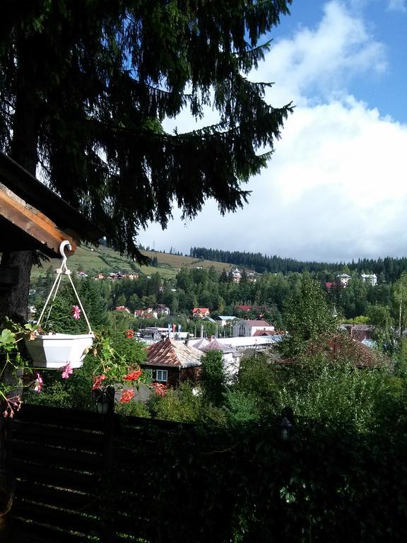 Vila Dariana Vatra Dornei Exteriér fotografie