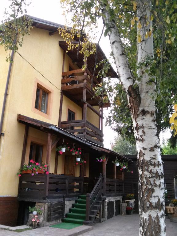 Vila Dariana Vatra Dornei Exteriér fotografie