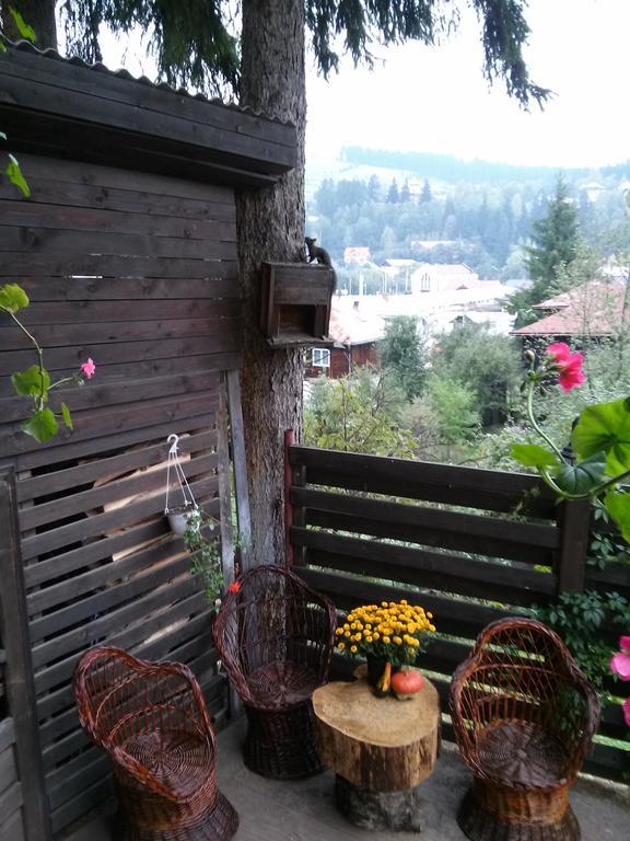Vila Dariana Vatra Dornei Exteriér fotografie