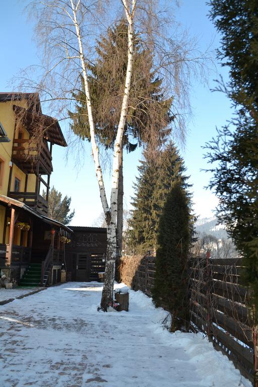 Vila Dariana Vatra Dornei Exteriér fotografie