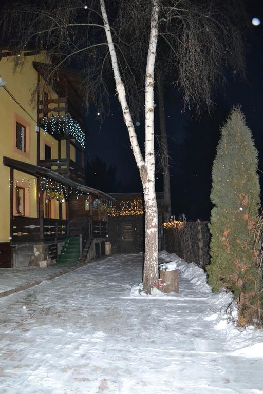 Vila Dariana Vatra Dornei Exteriér fotografie