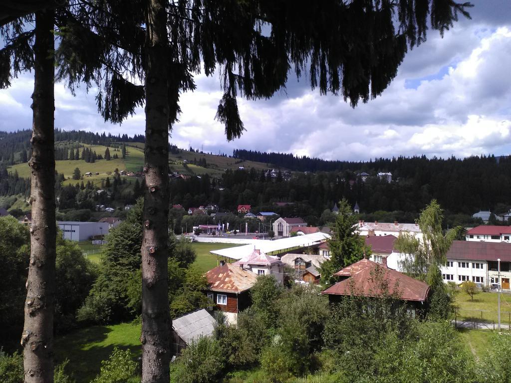Vila Dariana Vatra Dornei Exteriér fotografie