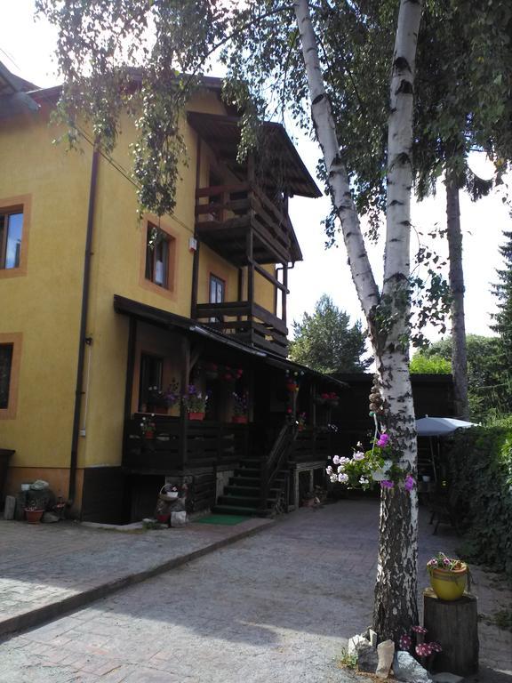 Vila Dariana Vatra Dornei Exteriér fotografie