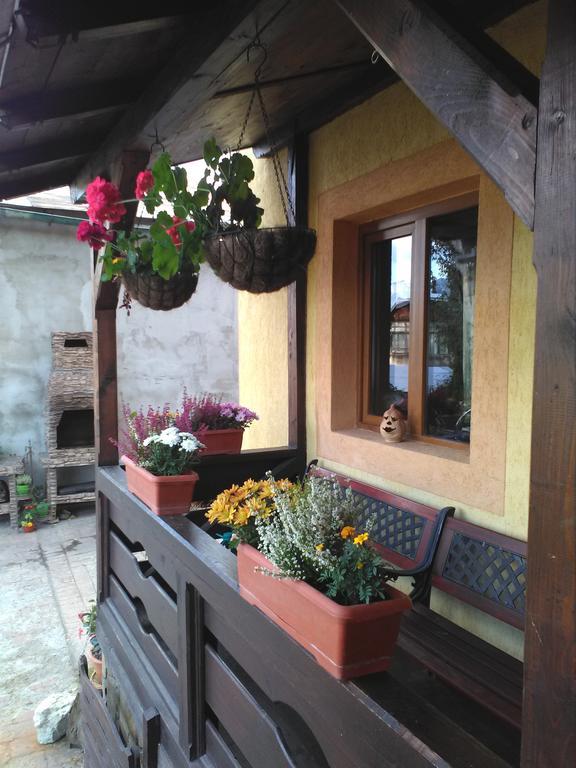 Vila Dariana Vatra Dornei Exteriér fotografie