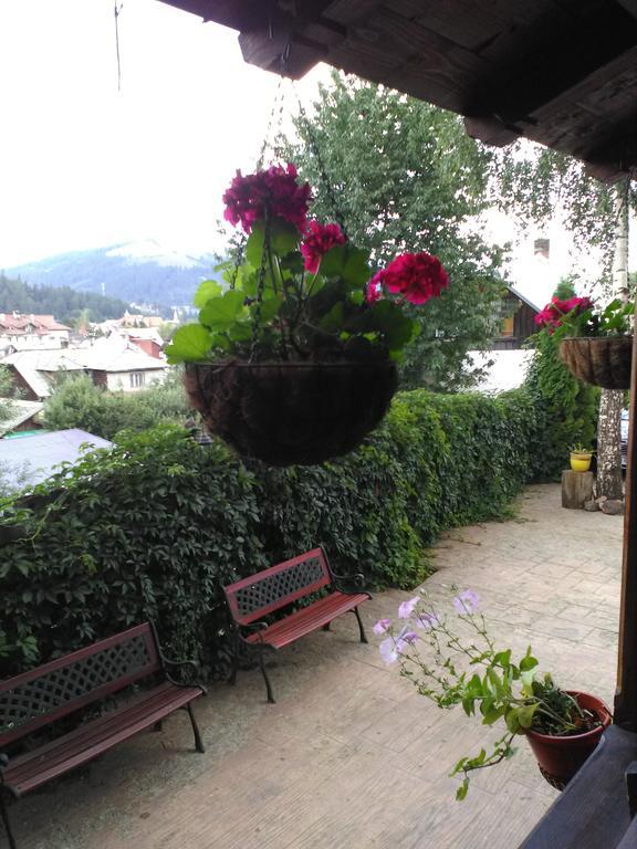 Vila Dariana Vatra Dornei Exteriér fotografie