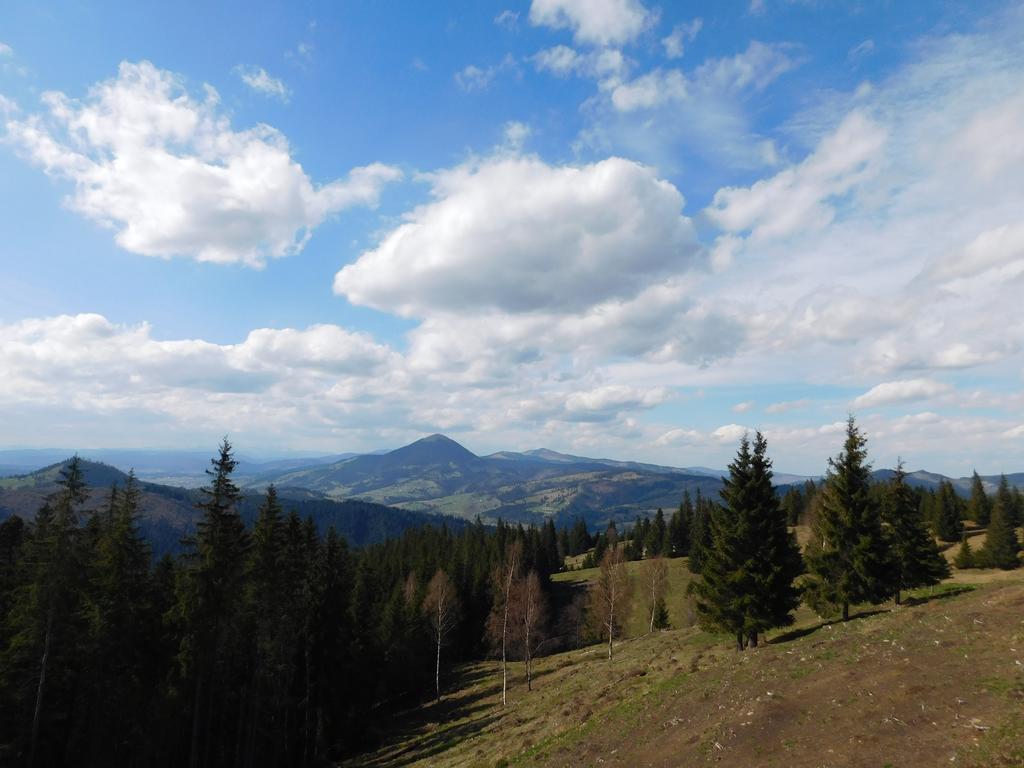 Vila Dariana Vatra Dornei Exteriér fotografie