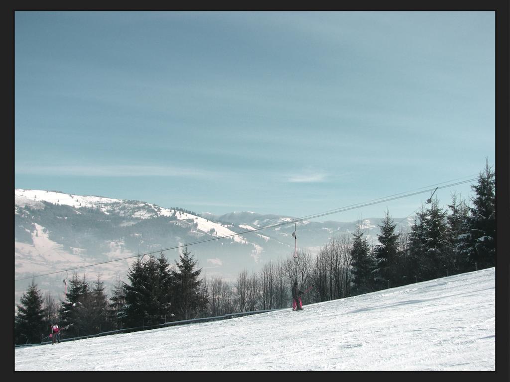 Vila Dariana Vatra Dornei Exteriér fotografie