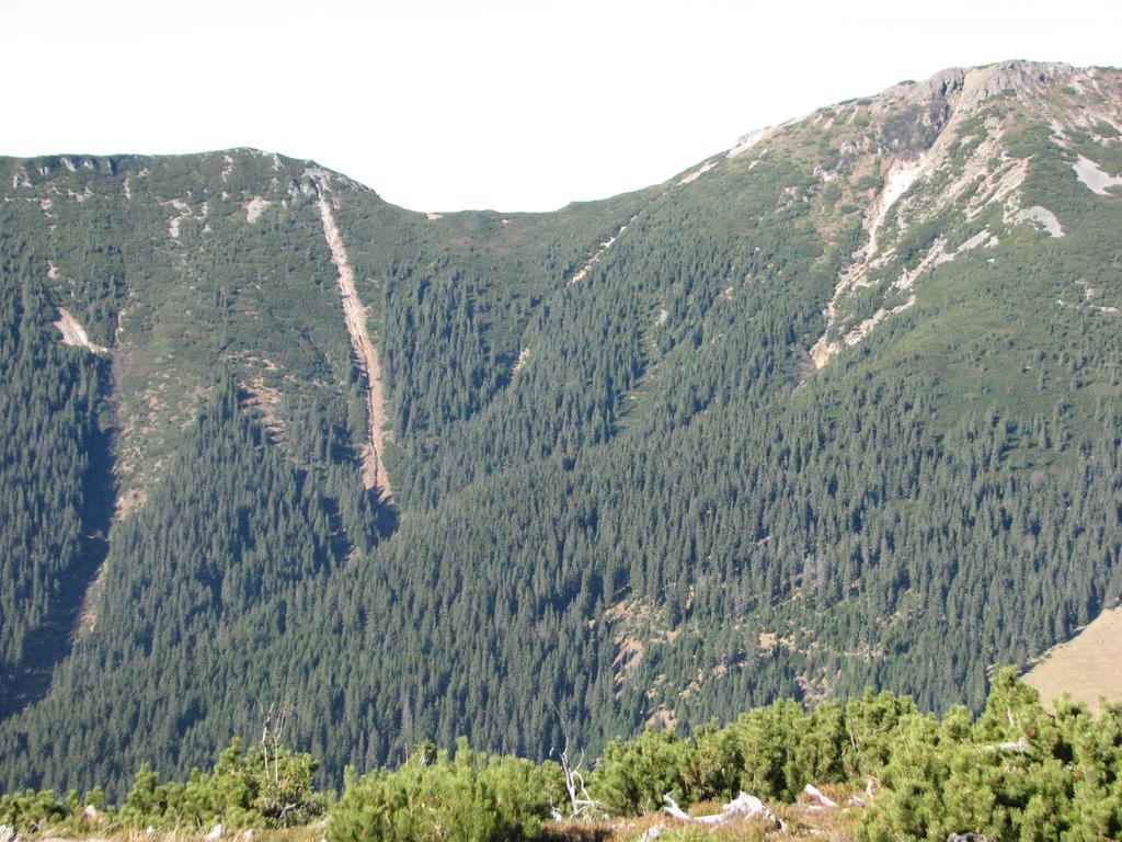 Vila Dariana Vatra Dornei Exteriér fotografie