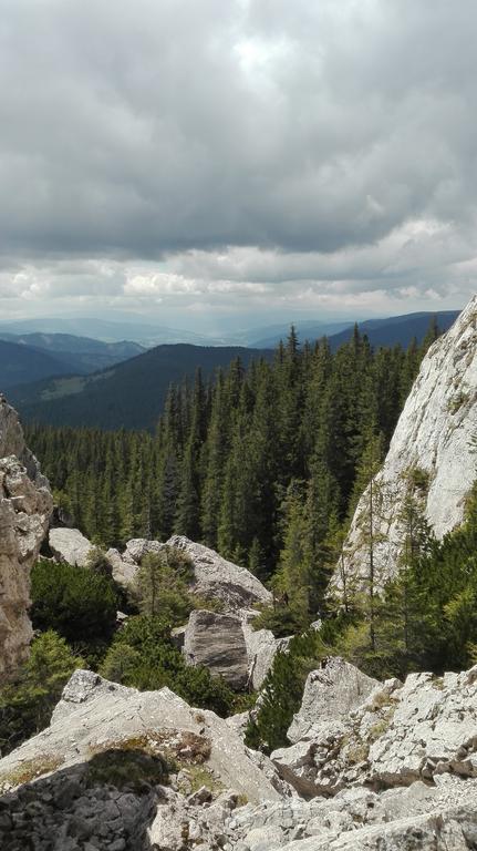 Vila Dariana Vatra Dornei Exteriér fotografie