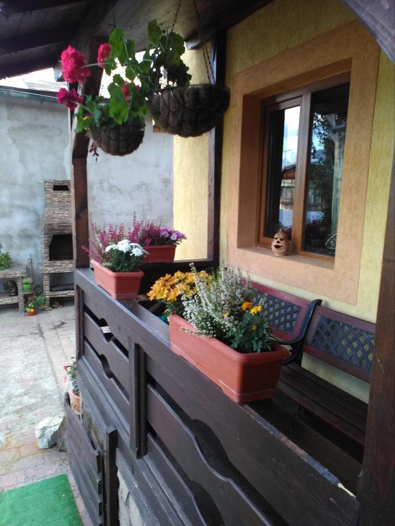 Vila Dariana Vatra Dornei Exteriér fotografie